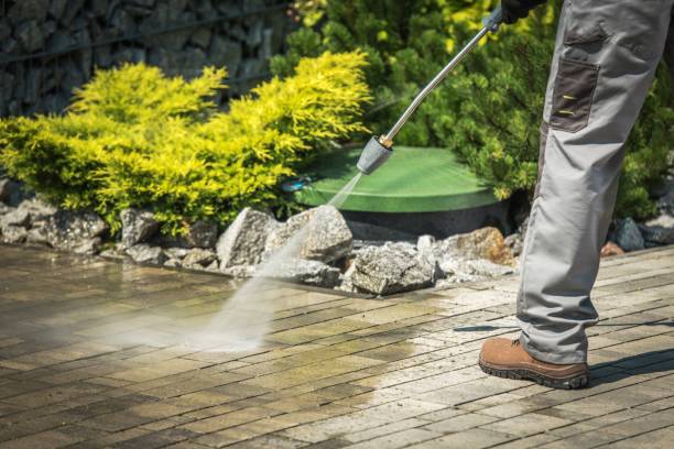 Best Fence Cleaning  in Comfort, TX