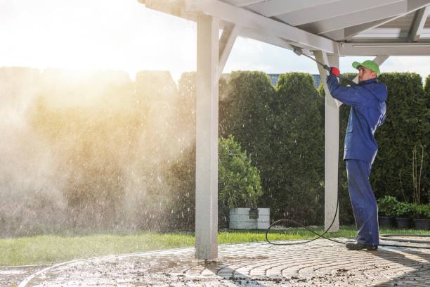 Best Sidewalk and Walkway Cleaning  in Comfort, TX
